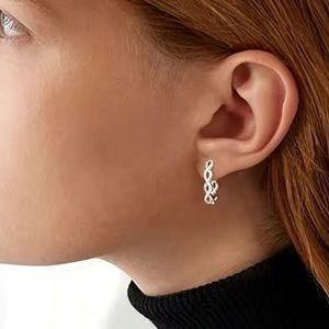 S925 CZ Braided Hoop Earrings